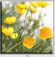 /album/photo-gallery-canvas-uri/decoratiuni-de-perete-canvas-lc-1059-jpg/